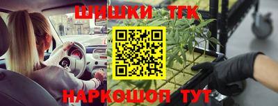 сатива Абинск