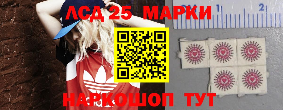 Лсд 25 Алейск