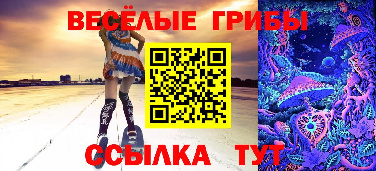 Галлюциногенные грибы Psilocybe Алейск