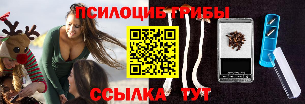 Галлюциногенные грибы Cubensis  Вход с VPN  Псилоцибиновые грибы прущие грибы  Алейск 